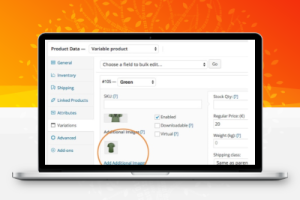 独立站搭建WooCommerce插件 Additional Variation Images By WooCommerce 变体图片高级展示