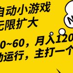 （10046期）2024最新全网独家小游戏全自动，单机40~60,稳定躺赚，小白都能月入过万