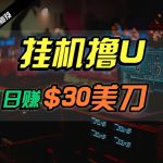 （10013期）日赚30美刀，2024最新海外挂机撸U内部项目，全程无人值守，可批量放大