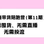 （9996期）小红书电商带货陪跑营（第11期）无需囤货、无需直播、无需投流（送往期10套）