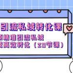 （9926期）短视频引流 私域转化课，短视频精准引流私域，在私域高效转化（20节课）