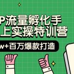 （9881期）自然IP流量孵化手 14天线上实操特训营【第9期】月入5w+百万爆款打造 (74节)