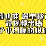 （9687期）随心推 爆单秘诀，短视频带货-超1个小目标的投放心得（7节视频课）