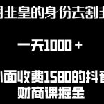 利用非皇的身份去割韭菜，一天1000+(附详细资源)