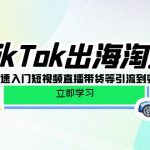 （10035期）TikTok-出海淘金，新手0-1快速入门短视频直播带货等引流到变现的知识