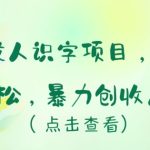 冷门成人识字项目，小白上手轻松，暴力创收月入5w+