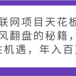 互联网项目天花板，逆风翻盘的秘籍，抓住机遇，年入百万
