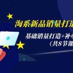 淘系新品销量打造实战系列，基础销量打造+补单渠道分析（共8节课）