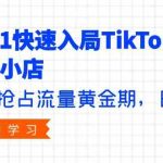 从0-1快速入局TikTok美区小店，快速抢占流量黄金期，日出千单（9节课）