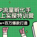 自然IP流量孵化手14天线上实操特训营【第9期】月入5w+百万爆款打造 (74节)
