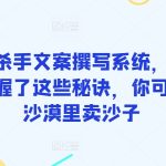 终极杀手文案撰写系统，只要你掌握了这些秘诀，你可以在沙漠里卖沙子