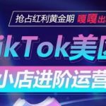 TikTok Shop美区小店进阶运营，抢占红利黄金期 嘎嘎出单