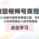 微信视频号变现营-普通人也能开启带货变现之路，实现电商小白向电商达人的华丽蜕变