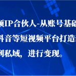 短视频IP合伙人-从账号基础开始通过抖音等短视频平台打造ip，引流到私域，进行变现。