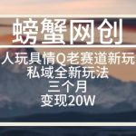 大人玩具情Q用品赛道私域全新玩法，三个月变现20W，老项目新思路