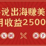 小说出海赚美金，稿费月收益2500+美金，仅需chatgpt粘贴复制，新手也能玩转