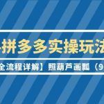 2024拼多多实操玩法合集【0-1全流程详解】照葫芦画瓢（9节课）