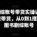 图书剧综账号带货实操课，0基础极速带货，从0到1搭建一个图书剧综账号