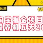 淘宝掘金项目，不需养机，五天20+，每天只需要花三四个小时