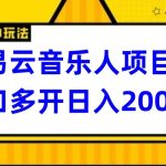 网易云挂机项目延伸玩法，电脑操作长期稳定，小白易上手