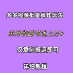 （10029期）拼多多视频带货快速过爆款选品教程 每天轻轻松松赚取三位数佣金 小白必…
