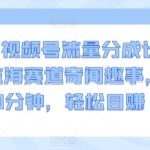 2024视频号流量分成计划，冷门监海赛道奇闻趣事，每天只需30分钟，轻松目赚 1000+