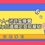 个人闭环实操营：个人ip打造稳定变现基础，带你落地个人的商业变现课