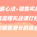 【销售心法+销售实战】销售流程实战课打好流量和销售增长的组合拳