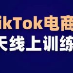 TikTok电商带货30天线上课，不可错过的全球流量洼地！