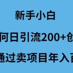 （9668期）新手小白如何日引流200+创业粉通过卖项目年入百万