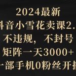 （9639期）2024最新抖音小雪花卖课2.0 不违规 不封号 矩阵一天3000+一部手机0粉丝开播