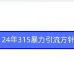 24年315暴力引流方针