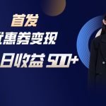 长期稳定项目，单人日收益500+，新手小白轻松上手