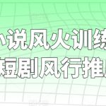 短剧+小说风火训练营，0粉短剧风行推广