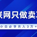 （9623期）互联网的尽头就是卖项目，被割过韭菜的兄弟们必看！轻松月入三万以上！