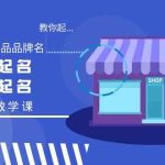 教你起“爆店店铺名、爆品品牌名”，店铺起名，品牌起名（12节教学课）