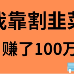 我是如何靠割韭菜月入20W的