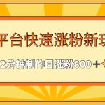 多平台快速涨粉最新玩法，2分钟制作，日涨粉800+
