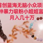 首创蓝海无脑小众项目，2分钟暴力吸粉小姐姐富太太，月入几十万