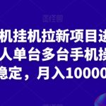 苹果手机挂机拉新项目进阶版模式，单人单台多台手机操作长期稳定，月入10000+