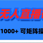 （9542期）快手无人直播带货，新手日入1000+ 可矩阵操作