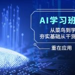 AI学习班2.0：从菜鸟到学霸，夯实基础从干货到硬货，重在应用（17节课）