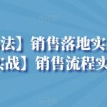【销售心法】销售落地实战分享+【销售实战】销售流程实战分享