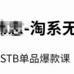淘系无界STB单品爆款课（2024），付费带动免费的核心逻辑，万相台无界关键词推广/精准人群的核心