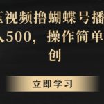 靠解压视频撸蝴蝶号播放收益，轻松日入500，操作简单，包过原创