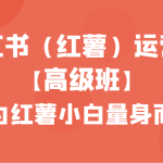 小红书（红薯）运营课【高级班】，专为红薯小白量身而定（42节课）