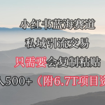 （9487期）小红书短剧赛道，私域引流交易，会复制粘贴，日入500+（附6.7T短剧资源）