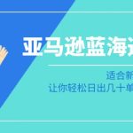 亚马逊蓝海选品课：适合新手小白卖家，让你轻松日出几十单小爆款产品