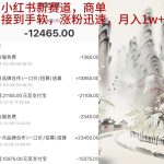 （9476期）小红书新赛道，商单接到手软，涨粉迅速，月入1w+