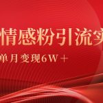 （9473期）单月变现6w+，情感粉引流变现实操课